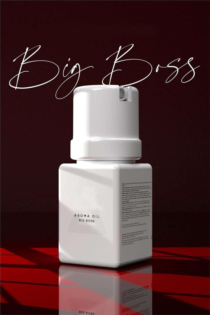 [0960206 BB] Nachfüllung Kartusche Diffuser, Aroma Big Boss, 6 x 50 ML