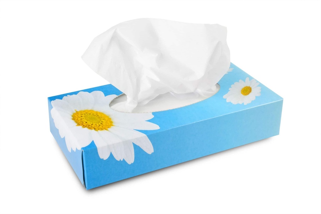 Kosmetikboxen, hochweiss, 2-lagig, Zellstoffpapier, 100 Tücher, Motiv-Box, 19,5 x 21 cm, Funny, 40 Boxen im Karton