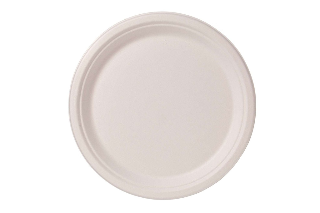 [AIO281894] Einweg Teller rund (400 Stück)